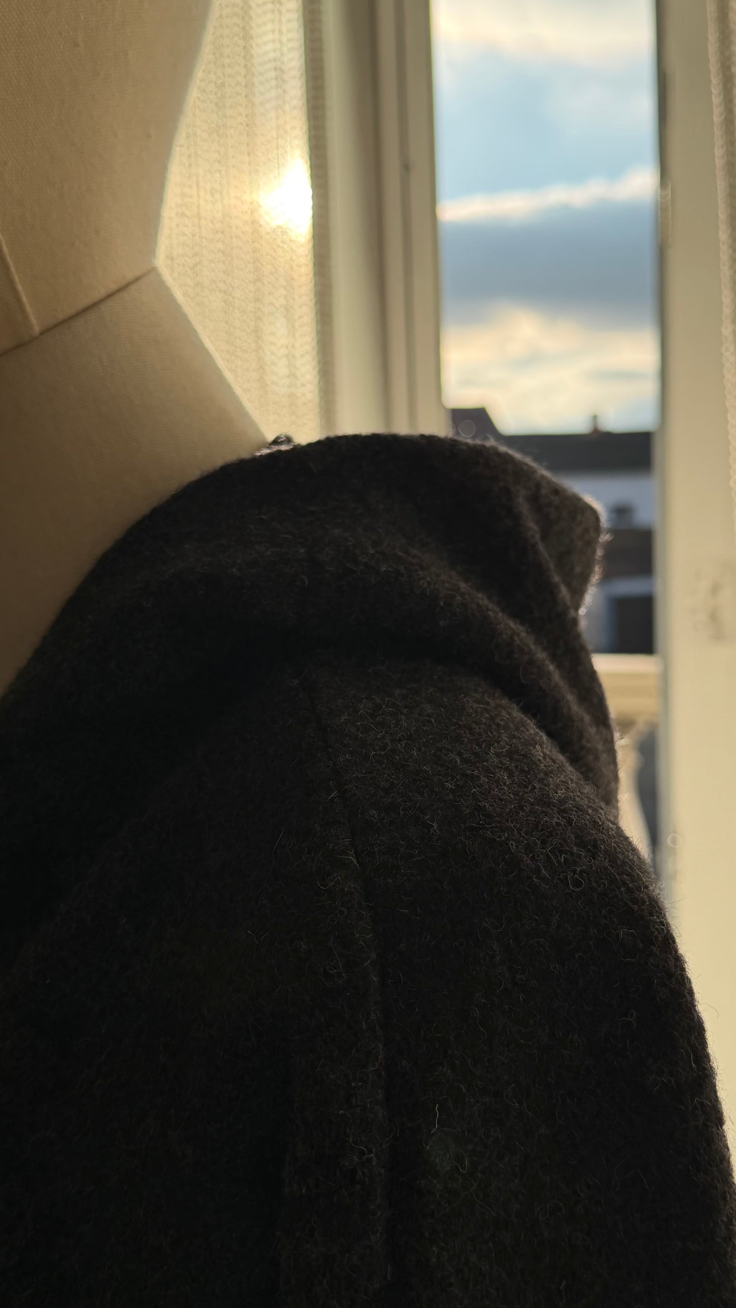 Wollmantel 100% Wolle  PRE ORDER VERSAND 29. JANUAR🧶