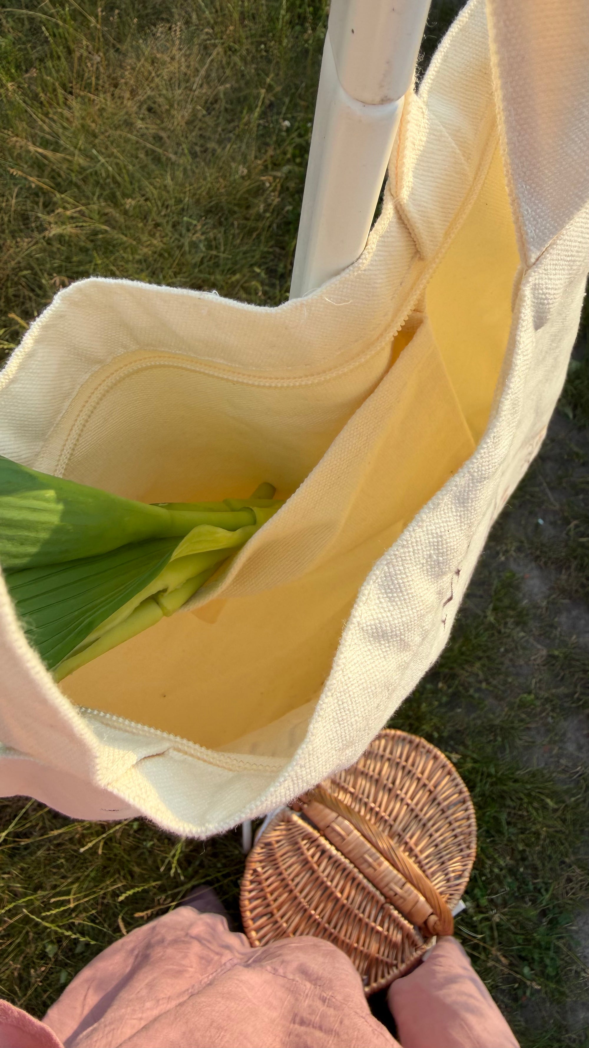 Nature Modest Bio Baumwollbeutel
